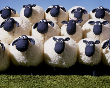 Shaun the Sheep/ Koyun Shaun 