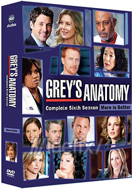 6. Sezon DVD Kapağı